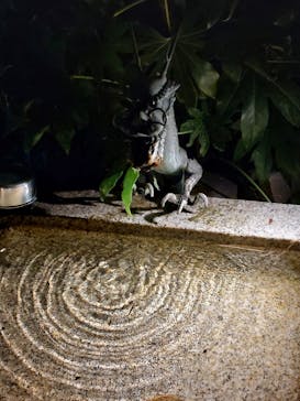 博多ライトアップウォーク実行委員会に投稿された画像（2023/11/10）