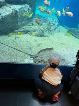 マクセル アクアパーク品川に投稿された画像（2023/11/10）