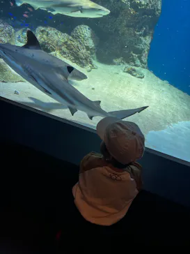 マクセル アクアパーク品川に投稿された画像（2023/11/10）