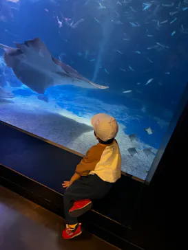 マクセル アクアパーク品川に投稿された画像（2023/11/10）