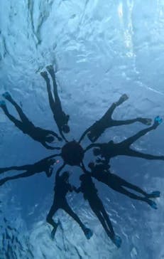 石垣島 ADVENTURE PiPi（イシガキジマアドベンチャーピピ）に投稿された画像（2023/11/10）