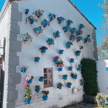 志摩スペイン村パルケエスパーニャに投稿された画像（2023/11/10）