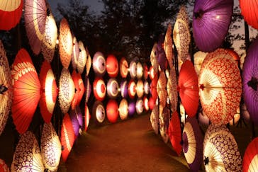 国営昭和記念公園 秋の夜散歩に投稿された画像（2023/11/10）