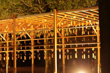 国営昭和記念公園 秋の夜散歩に投稿された画像（2023/11/10）