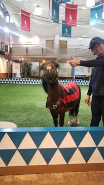 ノーザンホースパークに投稿された画像（2023/11/10）