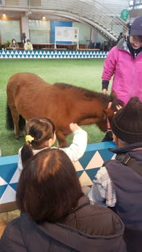 ノーザンホースパークに投稿された画像（2023/11/10）