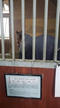 ノーザンホースパークに投稿された画像（2023/11/10）