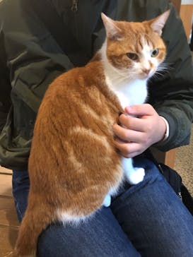 おさるランド＆アニタウン　日光さる軍団劇場に投稿された画像（2023/11/10）