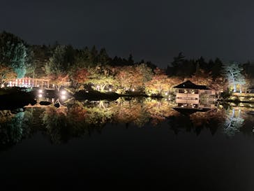 国営昭和記念公園 秋の夜散歩に投稿された画像（2023/11/10）