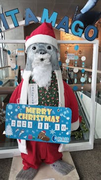 大分マリーンパレス水族館 「うみたまご」に投稿された画像（2023/11/10）