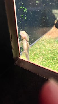 カワスイ 川崎⽔族館に投稿された画像（2023/11/11）