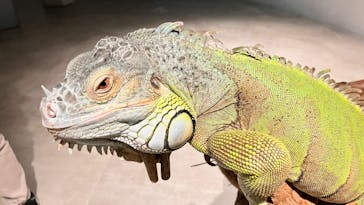 カワスイ 川崎⽔族館に投稿された画像（2023/11/11）