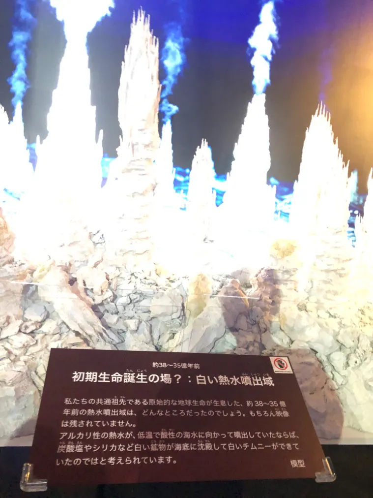 特別展「海 ―生命のみなもと―」（国立科学博物館）／投稿された写真