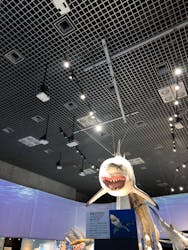 特別展「海　―生命のみなもと―」（国立科学博物館）に投稿された画像（2023/11/11）