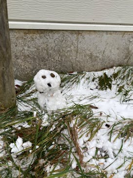 マウントジーンズ那須に投稿された画像（2023/11/11）