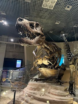 国立科学博物館に投稿された画像（2023/11/11）