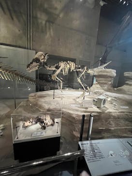 国立科学博物館に投稿された画像（2023/11/11）