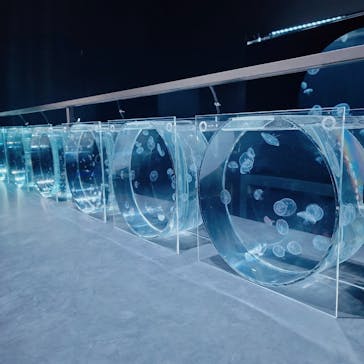 AOAO SAPPOROに投稿された画像（2023/11/11）