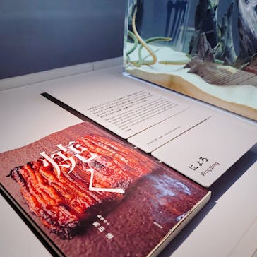 AOAO SAPPOROに投稿された画像（2023/11/11）