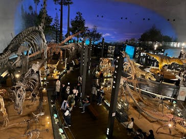 福井県立恐竜博物館に投稿された画像（2023/11/11）