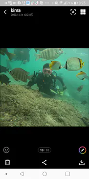 武藤潜水に投稿された画像（2023/11/11）