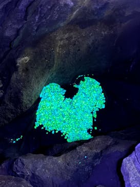 あぶくま洞に投稿された画像（2023/11/11）