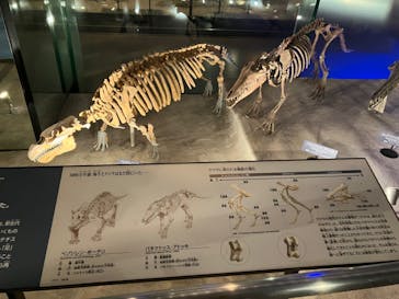 国立科学博物館に投稿された画像（2023/11/11）