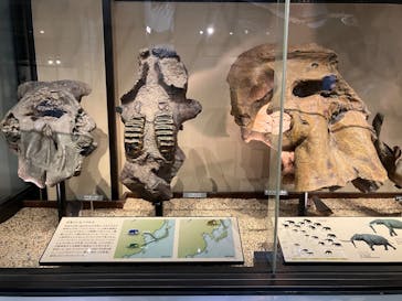 国立科学博物館に投稿された画像（2023/11/11）