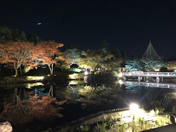 国営昭和記念公園 秋の夜散歩に投稿された画像（2023/11/11）