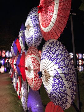 国営昭和記念公園 秋の夜散歩に投稿された画像（2023/11/11）