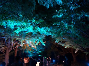 国営昭和記念公園 秋の夜散歩に投稿された画像（2023/11/11）