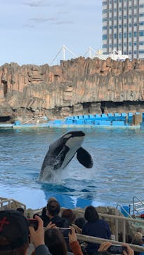 名古屋港水族館に投稿された画像（2023/11/11）