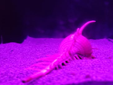 伊豆・三津シーパラダイスに投稿された画像（2023/11/11）