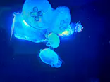 サンシャイン水族館に投稿された画像（2023/11/11）