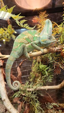 NARA IKIMONO MUSEUMに投稿された画像（2023/11/11）