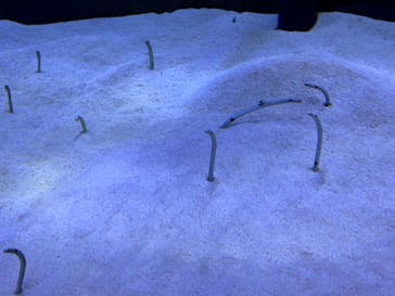 マリンワールド海の中道に投稿された画像（2023/11/11）