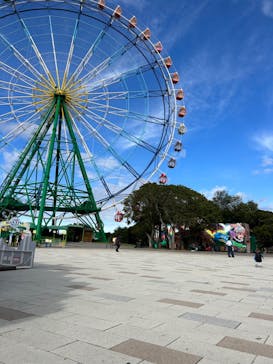 国営ひたち海浜公園プレジャーガーデンに投稿された画像（2023/11/11）