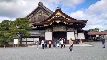 元離宮二条城に投稿された画像（2023/11/11）