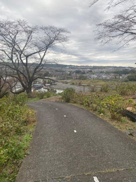 わんダフルネイチャーヴィレッジに投稿された画像（2023/11/11）