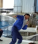 アクアワールド茨城県大洗水族館に投稿された画像（2023/11/11）