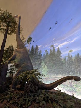 福井県立恐竜博物館に投稿された画像（2023/11/11）