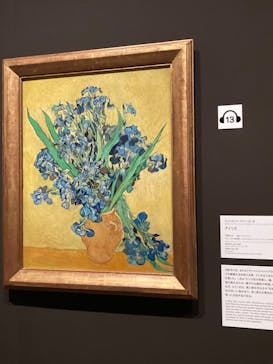 ゴッホと静物画　伝統から革新へ（SＯＭＰＯ美術館）に投稿された画像（2023/11/11）