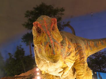 福井県立恐竜博物館に投稿された画像（2023/11/11）