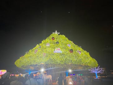 東京メガイルミに投稿された画像（2023/11/11）