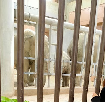 名古屋市東山動植物園に投稿された画像（2023/11/11）