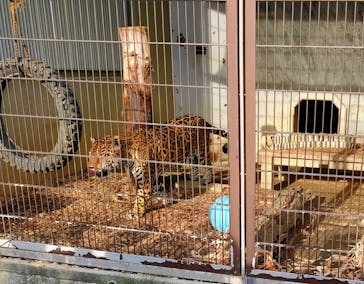 名古屋市東山動植物園に投稿された画像（2023/11/11）