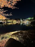 国営昭和記念公園 秋の夜散歩に投稿された画像（2023/11/11）