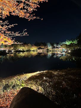 国営昭和記念公園 秋の夜散歩に投稿された画像（2023/11/11）