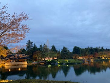 国営昭和記念公園 秋の夜散歩に投稿された画像（2023/11/11）