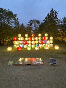 国営昭和記念公園 秋の夜散歩に投稿された画像（2023/11/11）